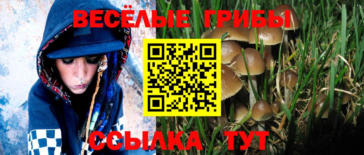 Галлюциногенные грибы Magic Shrooms Солнечногорск