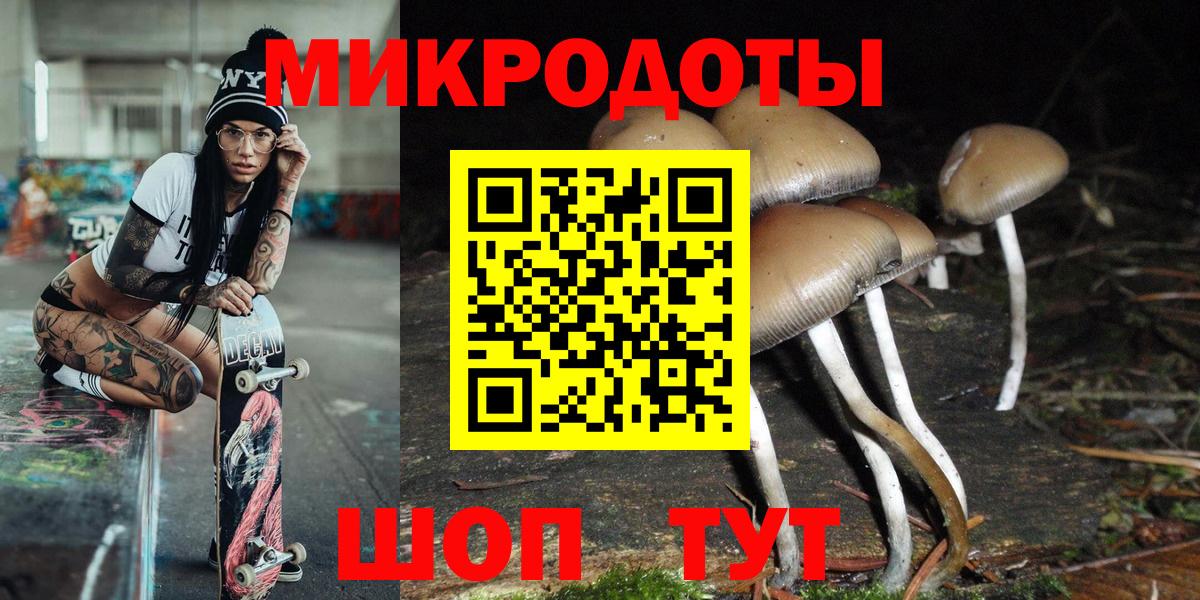 Псилоцибиновые грибы Cubensis  Вход с VPN  Солнечногорск 